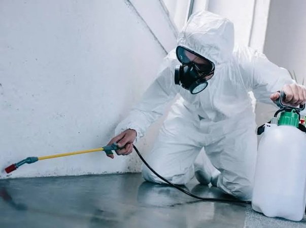 Ghaziabad Pest Control | +91 7011353628