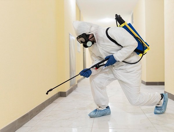 Ghaziabad Pest Control | +91 7011353628