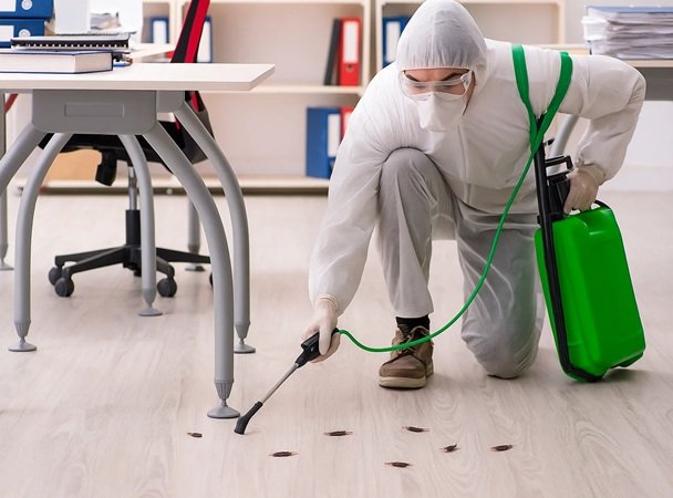 Ghaziabad Pest Control | +91 7011353628