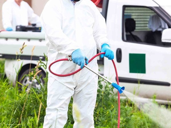 Ghaziabad Pest Control | +91 7011353628